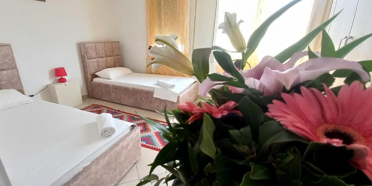 Guesthouse Bela 地拉那 外观 照片