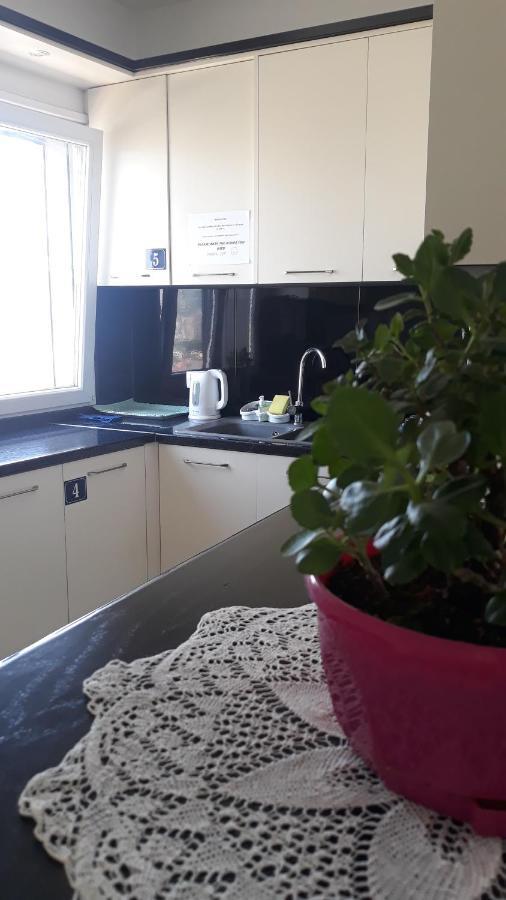Guesthouse Bela 地拉那 外观 照片